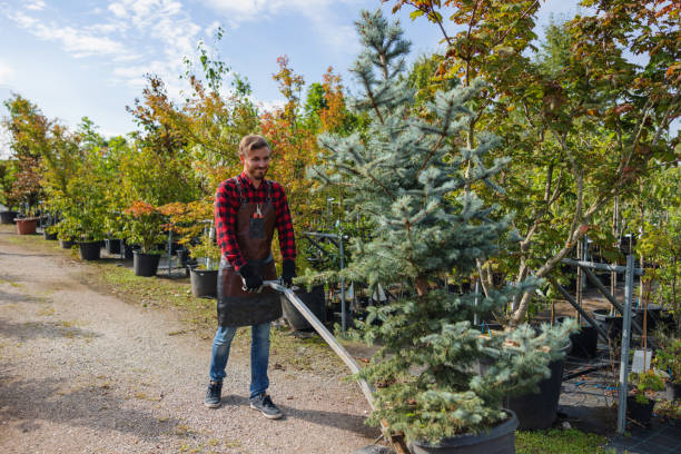 Best Weed Control  in Burton, MI