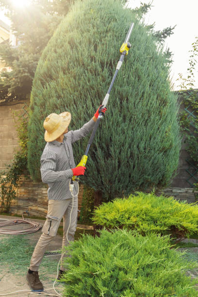 Best Commercial Tree Services  in Burton, MI